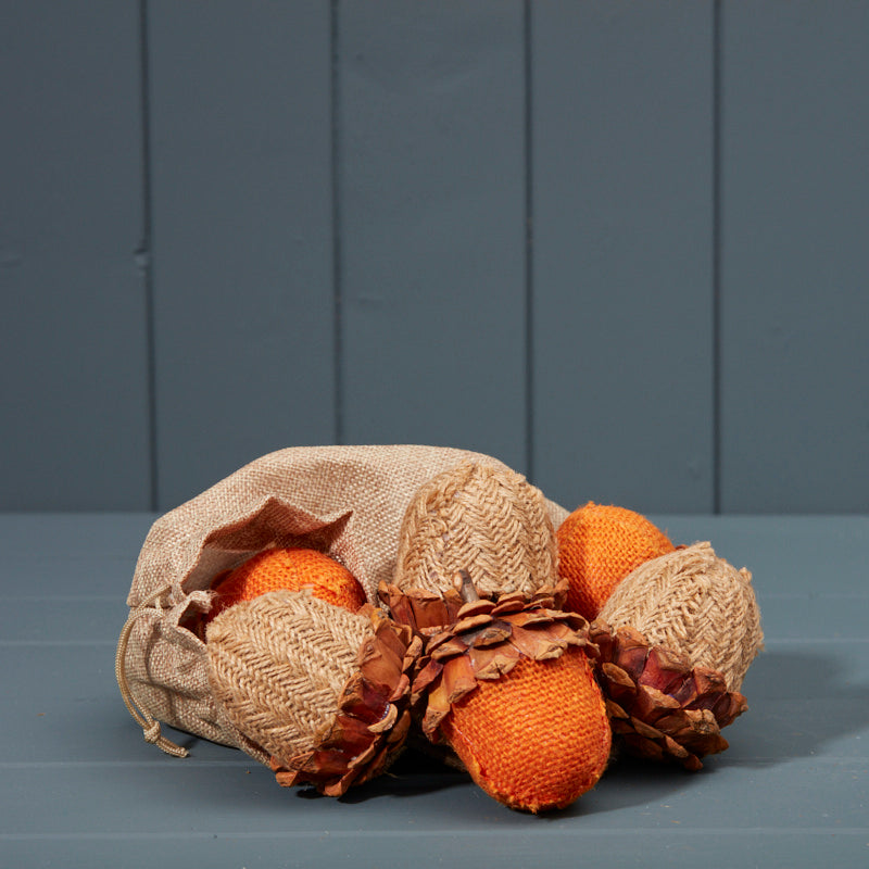 Bag of 6 Acorns